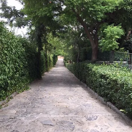 La Algazara Villamartin (Cadiz)